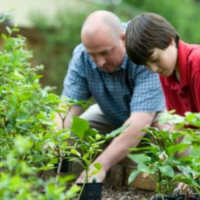 Top tenancy deposit disputes - don't forget about the garden, by Wendy Croy