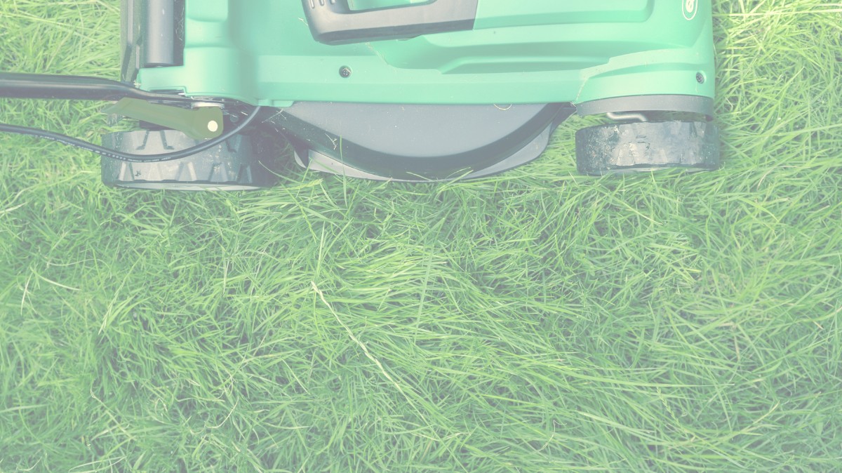 Landlord vs Tenant: Who is Responsible for Garden Maintenance?