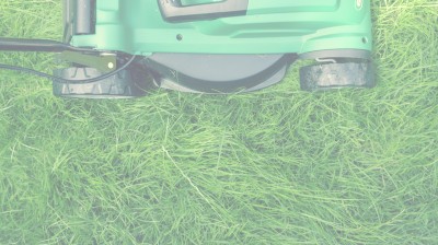 Landlord vs Tenant: Who is Responsible for Garden Maintenance?